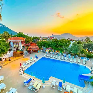 book here